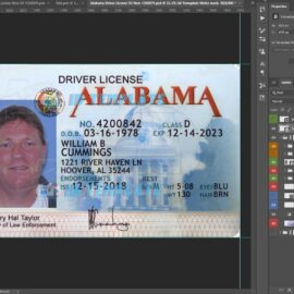 How to Use a Social Security Card Template & Kerala State Driving Licence