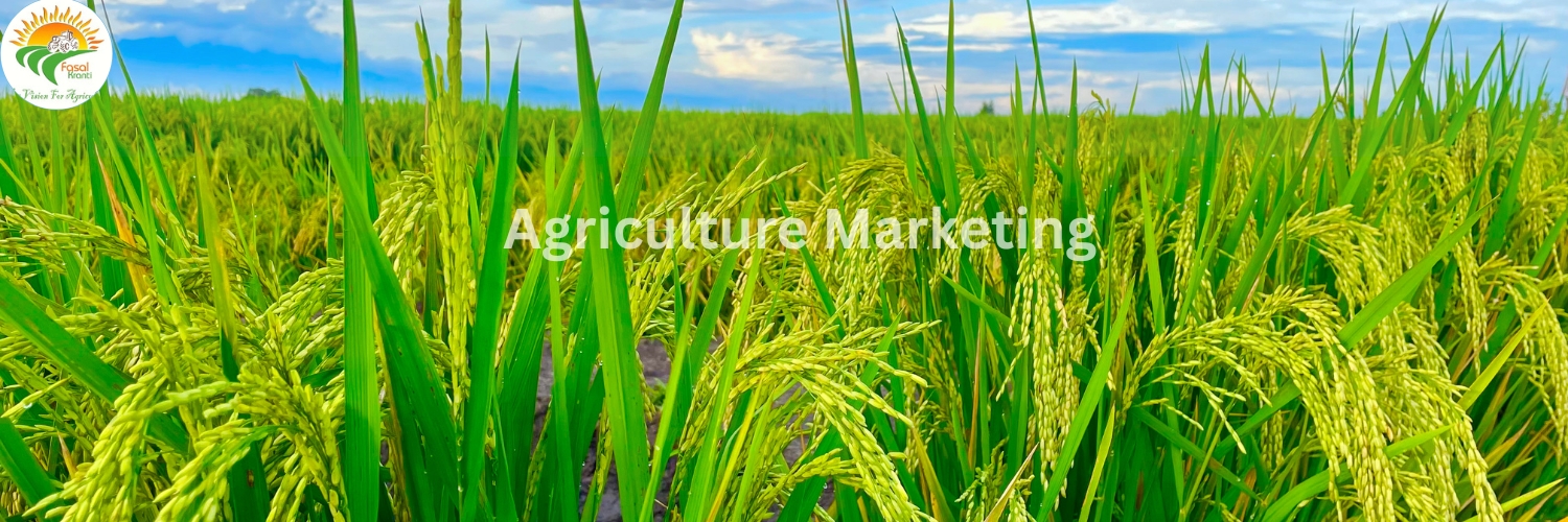 Smart Agriculture Marketing Strategies for 2025