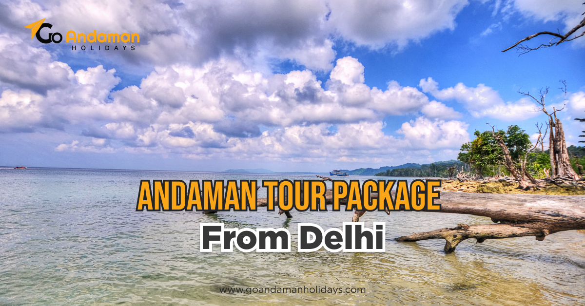 Andaman Tour Package from Delhi: A Complete Travel Guide