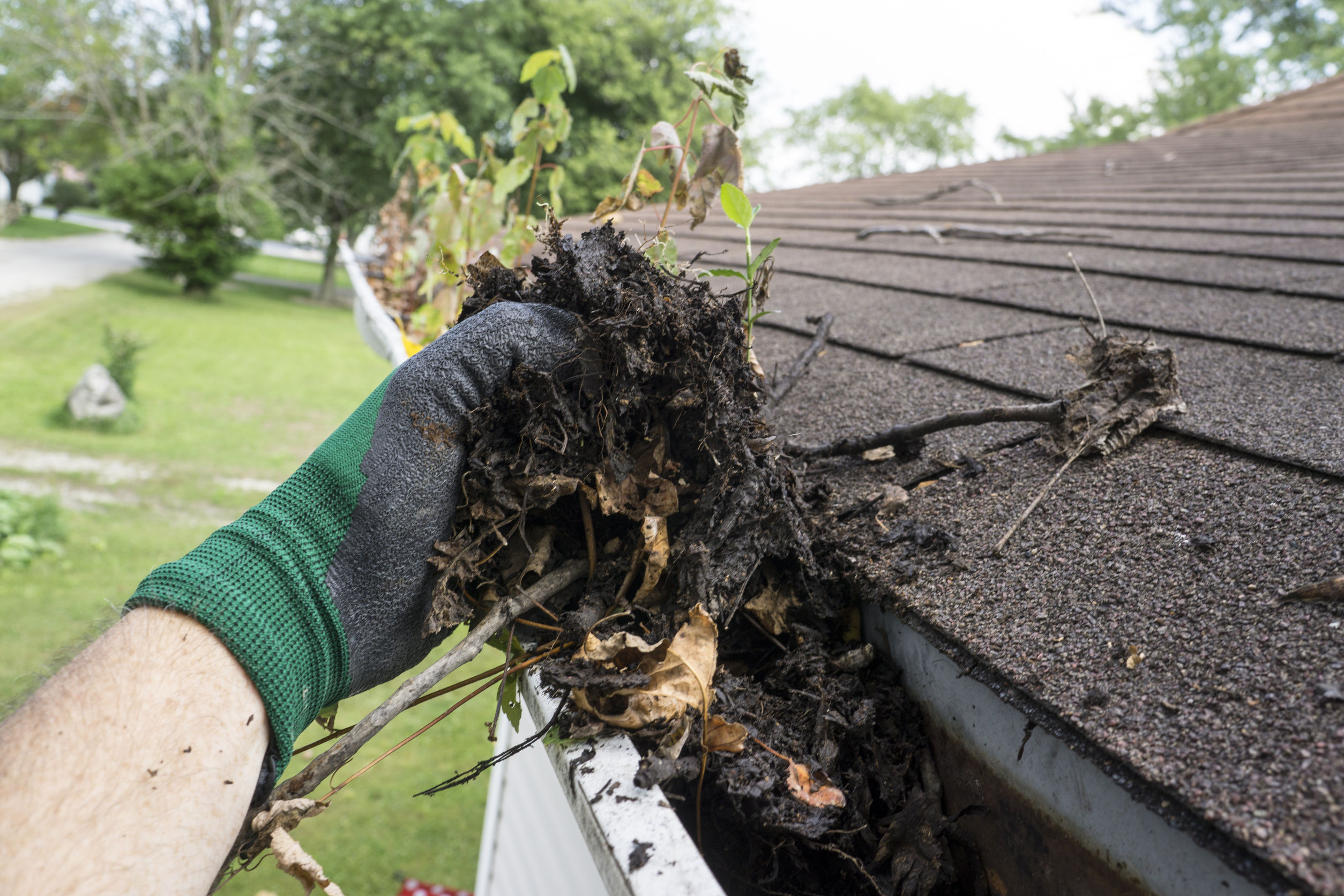 Top-Rated Gutter Cleaning in Lafayette: Protect Your Home with Expert Services