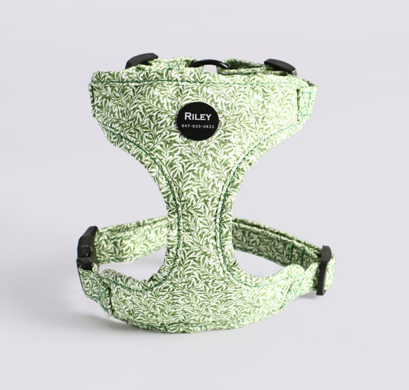 Showcase Your Dog’s Personality with Unique and Stylish Personalized Harness Designs