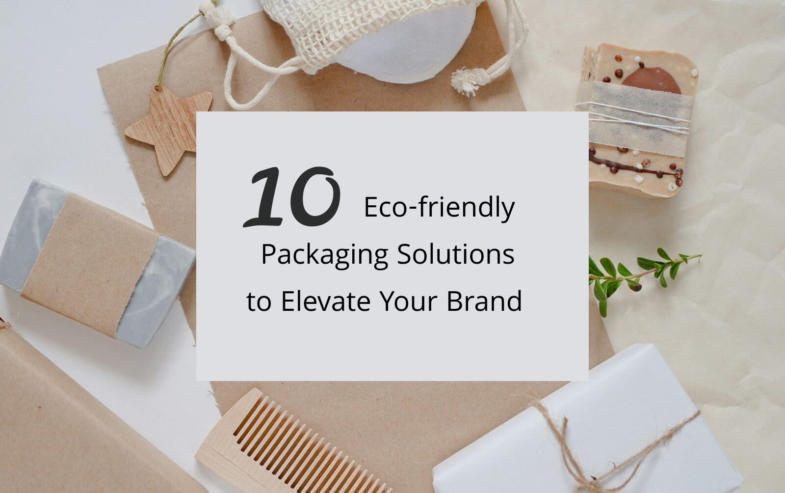 10 Eco-Friendly Packaging Solutions to Elevate Your Brand
