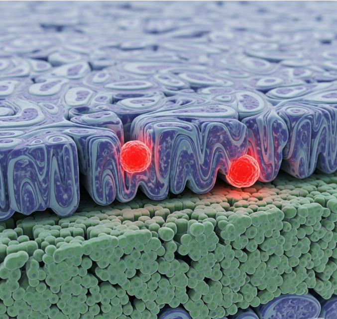 North America Cancer Tissue Diagnostics Market - Global Analysis, Size, Share, Growth, Trends and Forecast 2019 &ndash; 2027