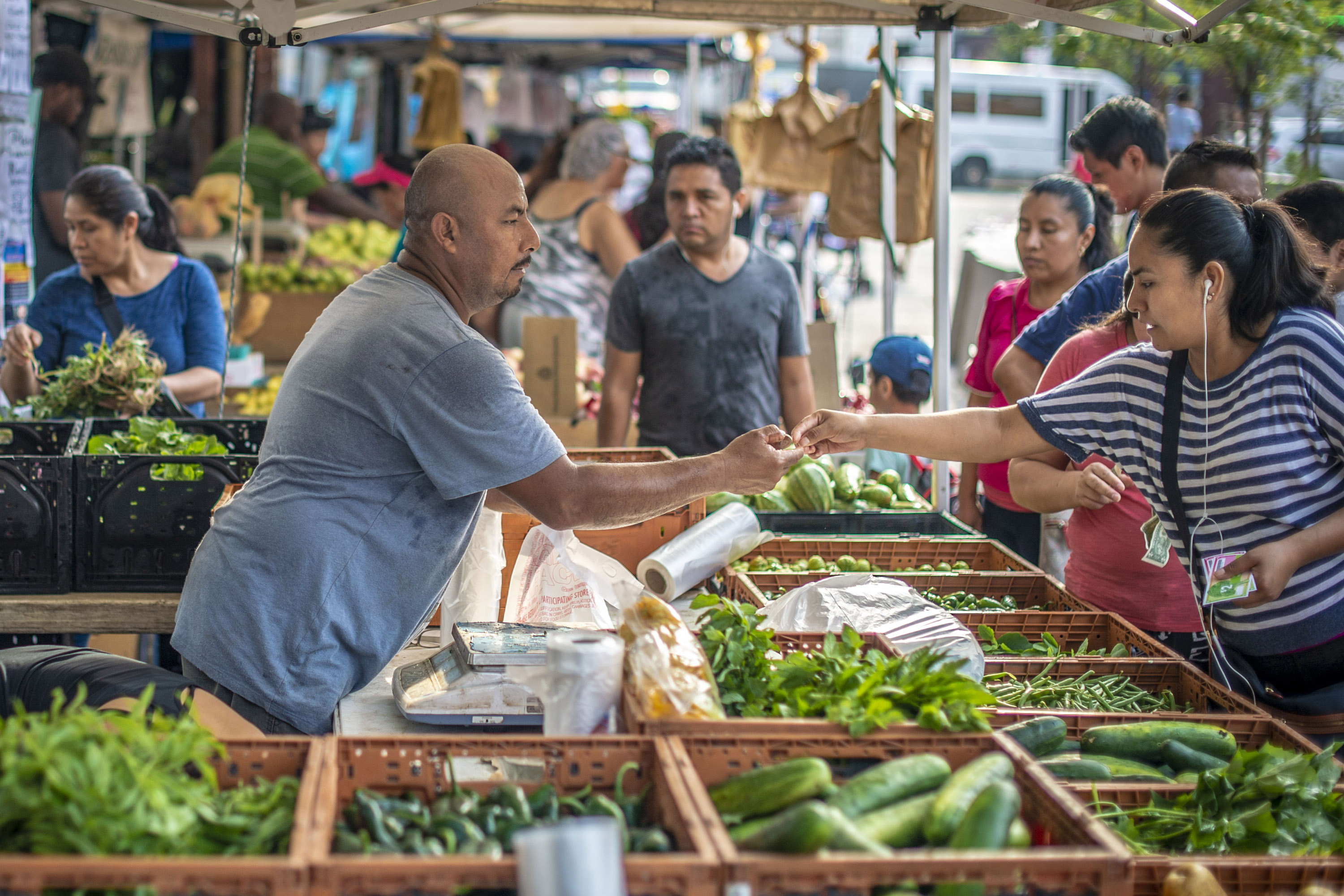 How Roosevelt Mall Helps Local Farmers Grow Their Market Reach