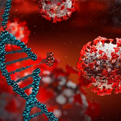 Ubiquitin-Specific Proteases