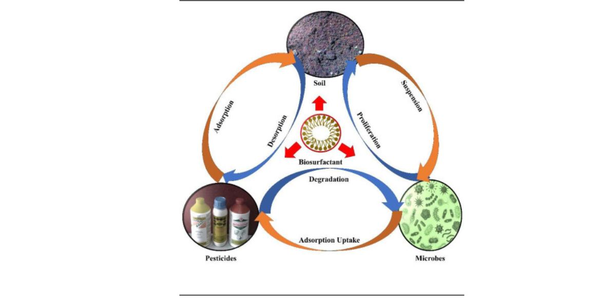 How Tiny Microbes Make Big Changes With Biosurfactants