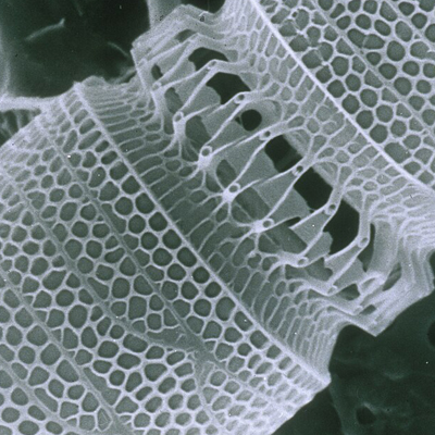 How Nanotechnology Is Reinventing Plastic Materials