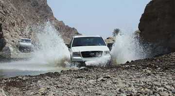 Morning Desert Safari Tour in Style