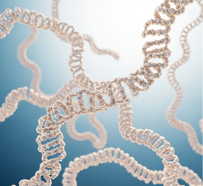 Europe Hydrolyzed Collagen Market Size, Segments, Growth and Trends by Forecast to 2028