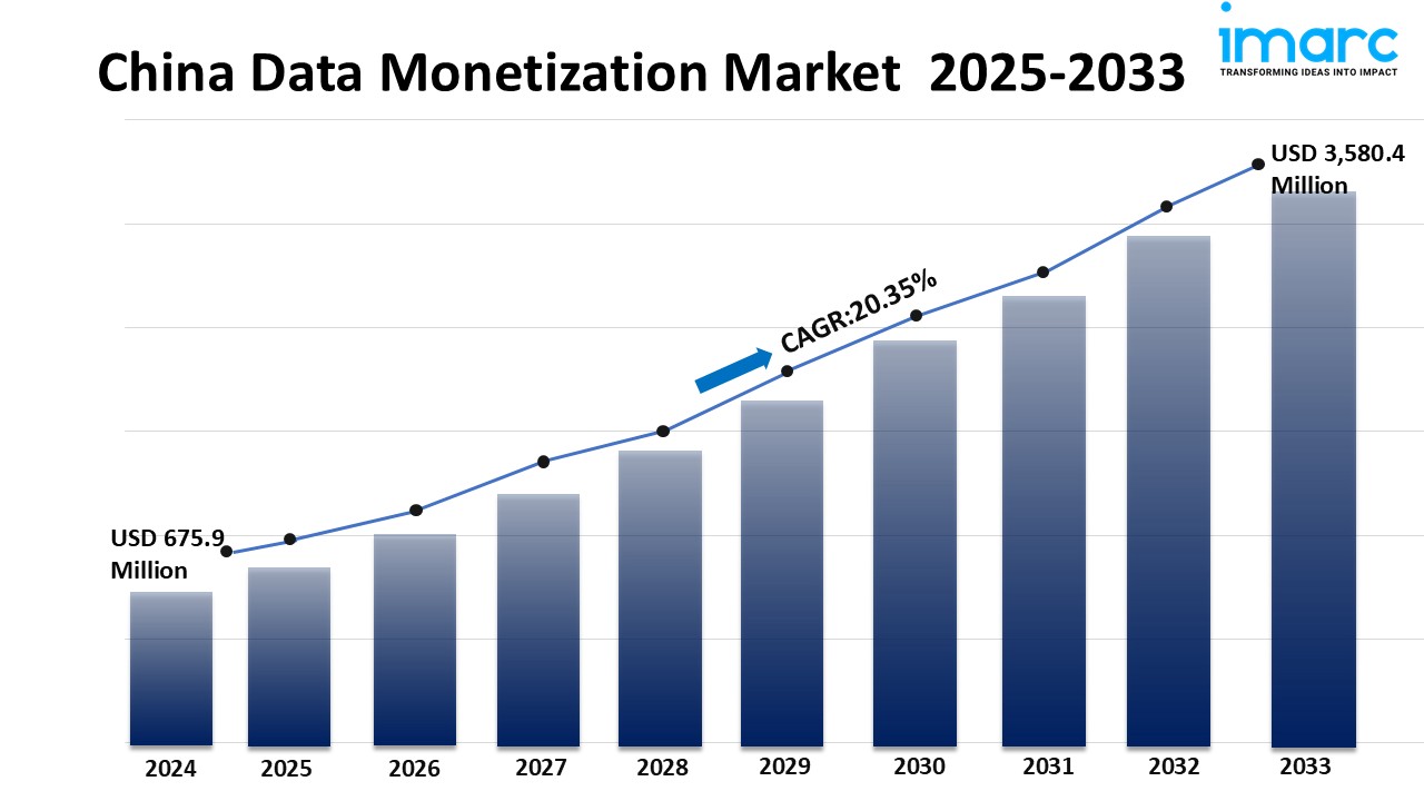 China Data Monetization Market Trends & Statistics 2025-2033