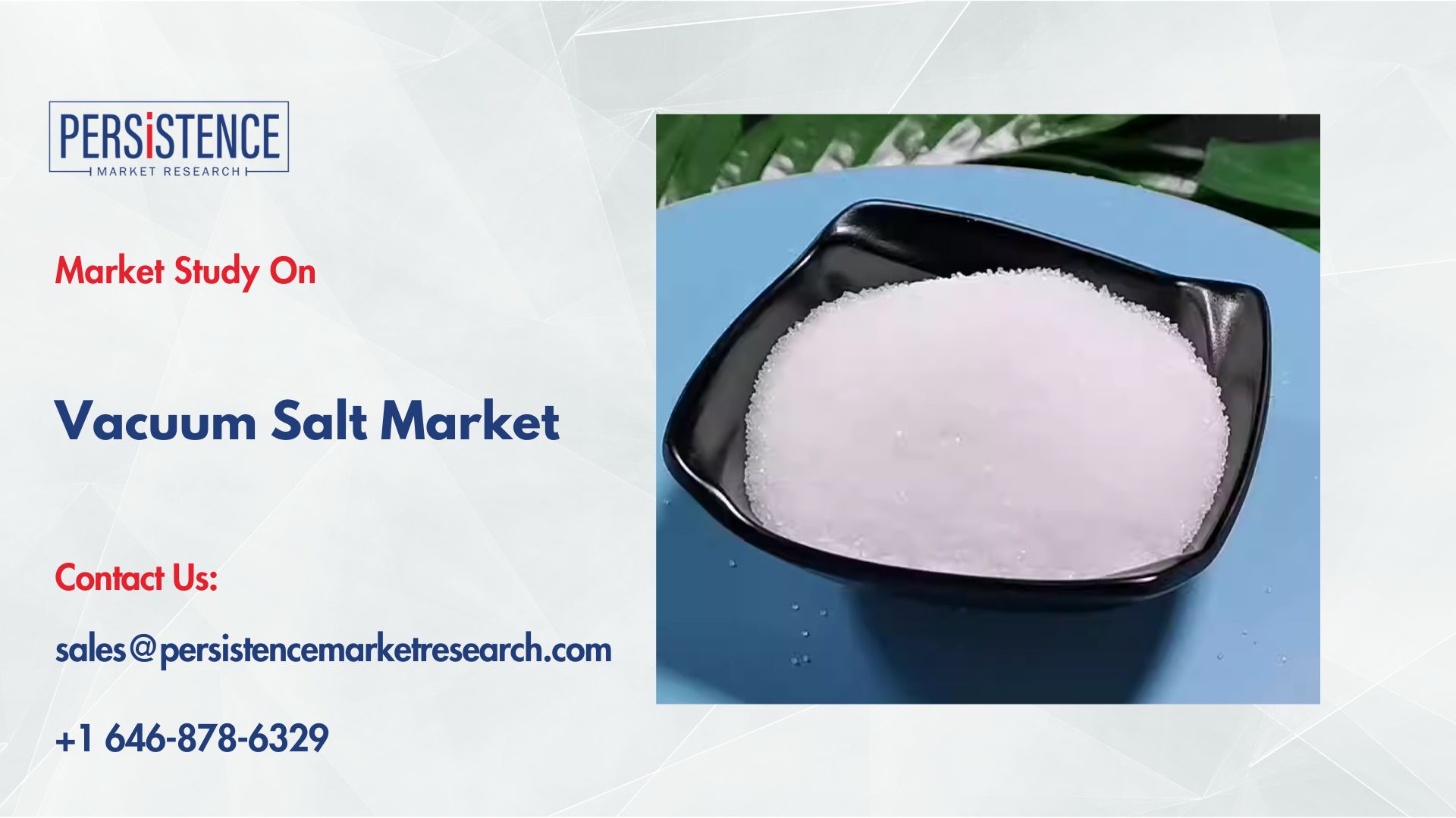 Vacuum Salt Market Demand Surge in Industrial and Domestic Use