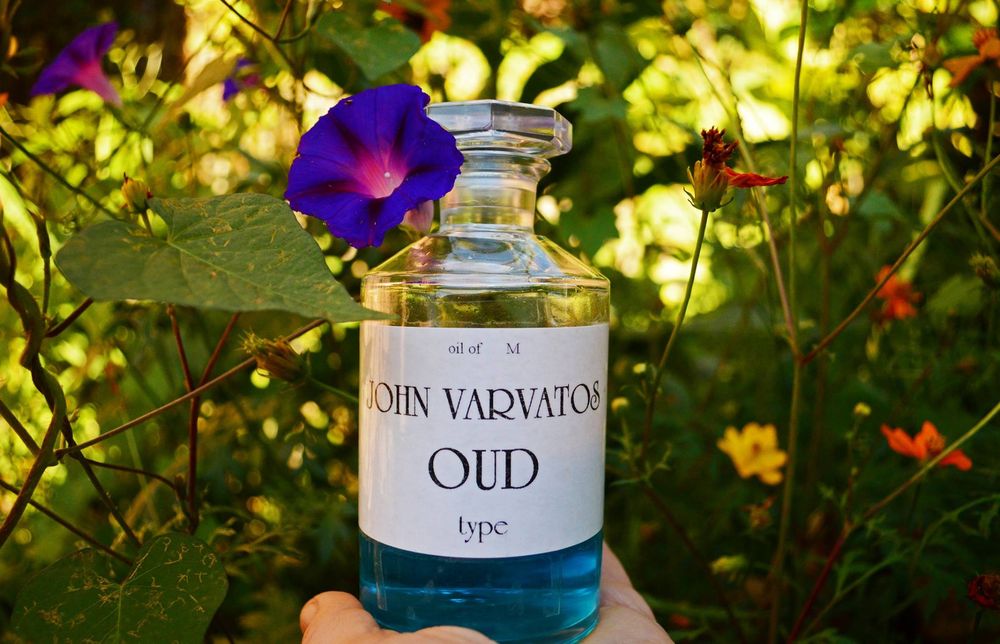 Why Perfume Oils Are the Secret to a Long-Lasting Signature Scent