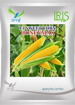 Buy F1 Hybrid Sweet Corn Seeds Online – High-Yield & Great Taste