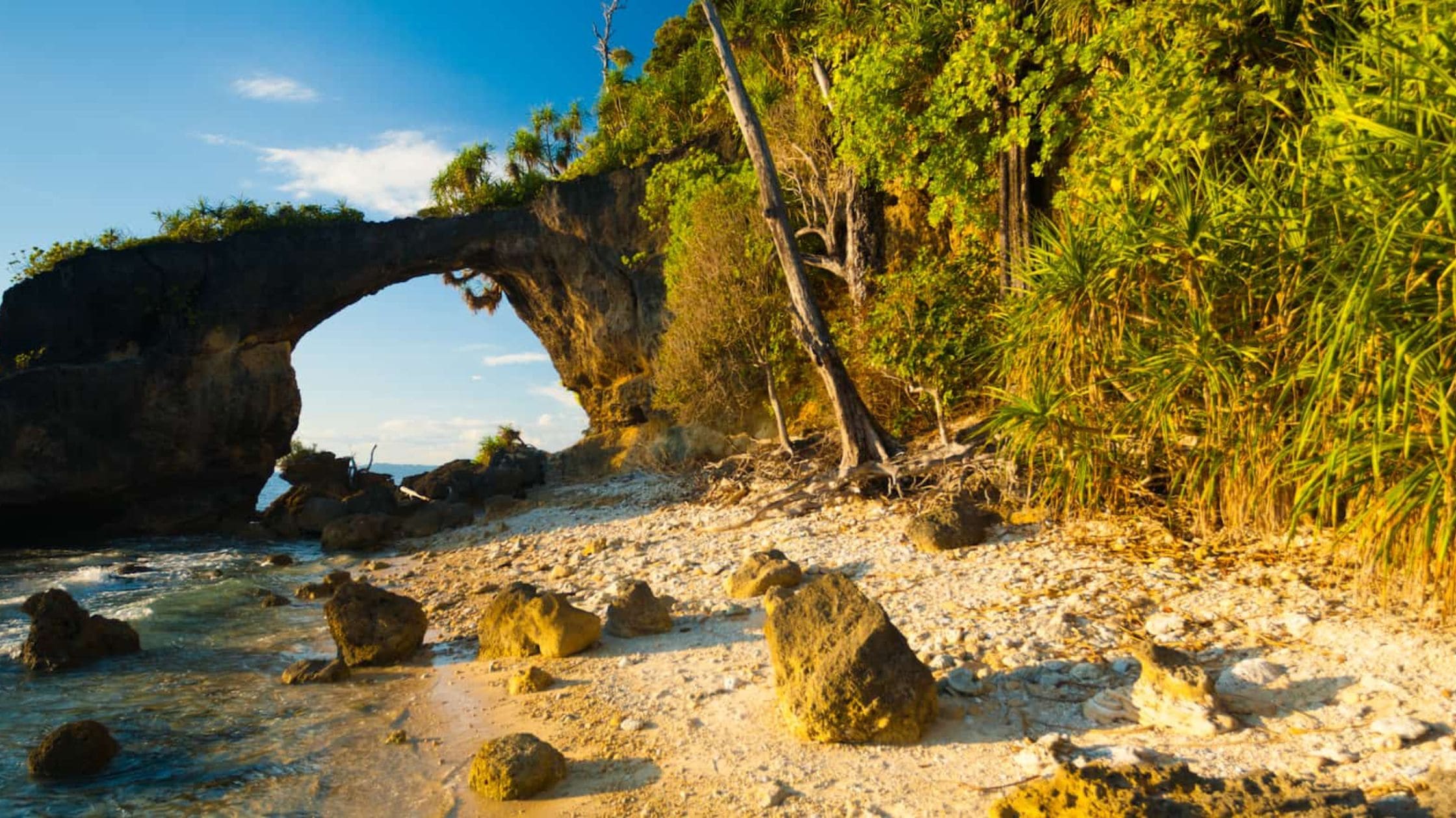 Discover Andaman: Must-Visit Places for Sightseeing