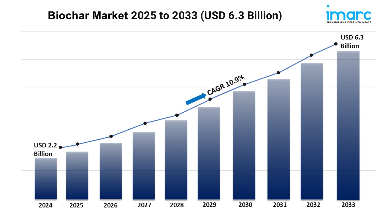 Biochar Market Report 2025 | Growth, Trends, and Forecast by 2033