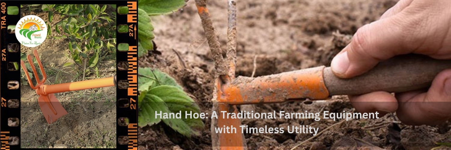 Hand Hoe: A Traditional Farming Equipment with Timeless Utility