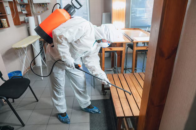 Bed Bug Control Missouri City TX: What to Expect from a Professional Exterminator
