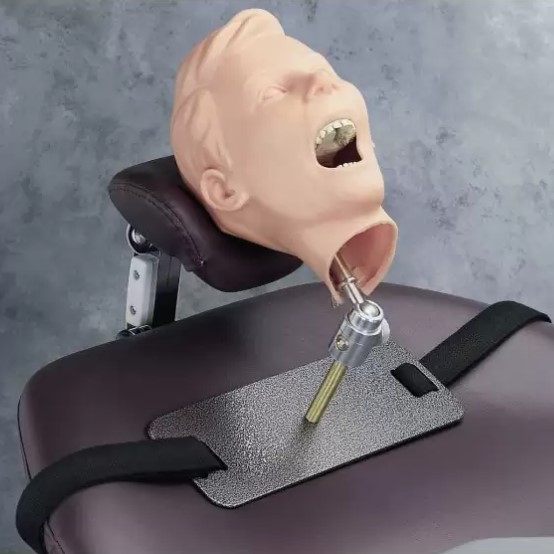 How Dental Manikins Prepare Students for Real-World Scenarios?
