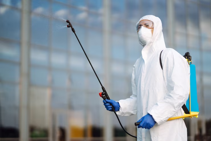 Pest Control Inspection in Brampton – Keep Your Home Safe