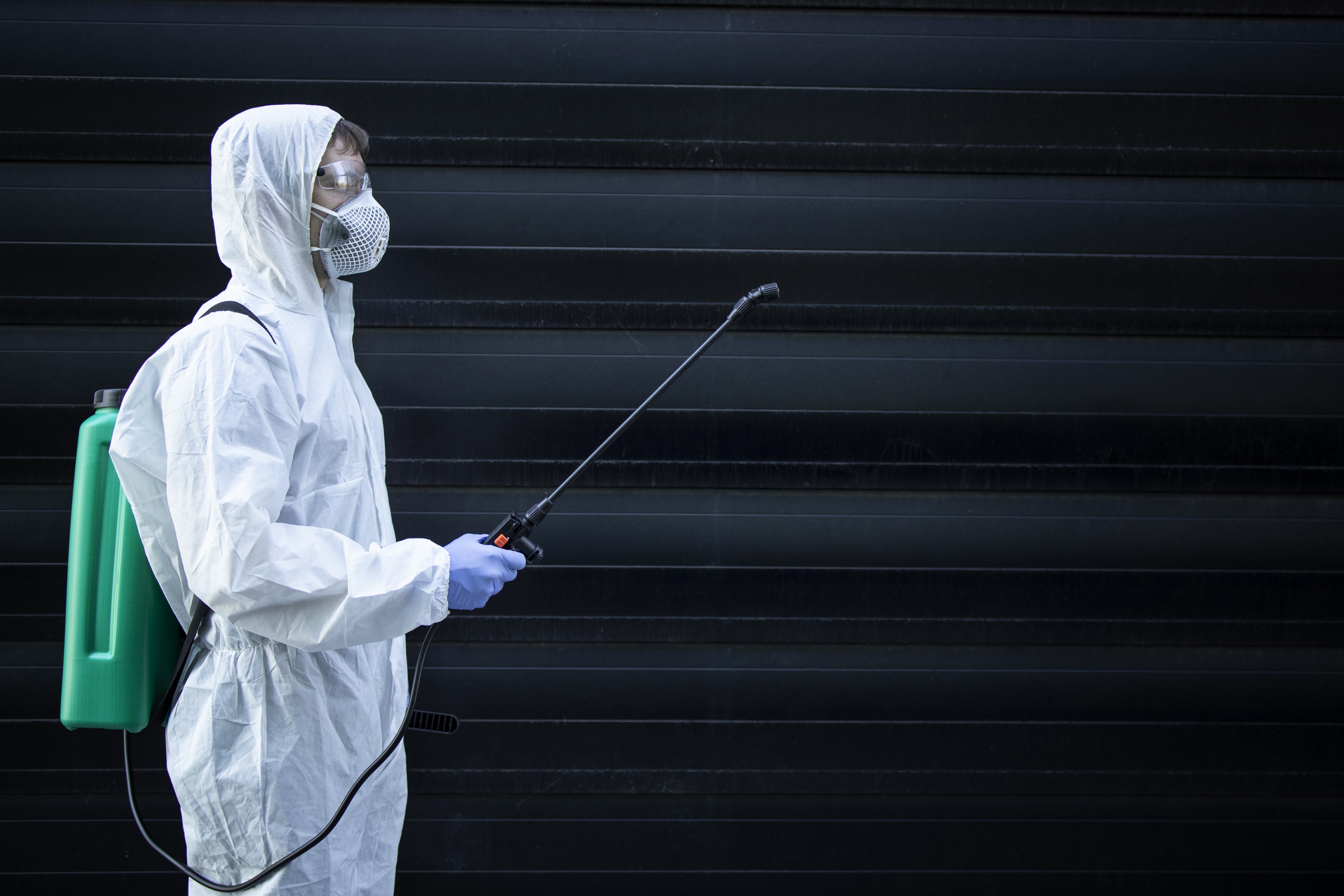 Protecting Your Property with Smart Pest Control Michigan