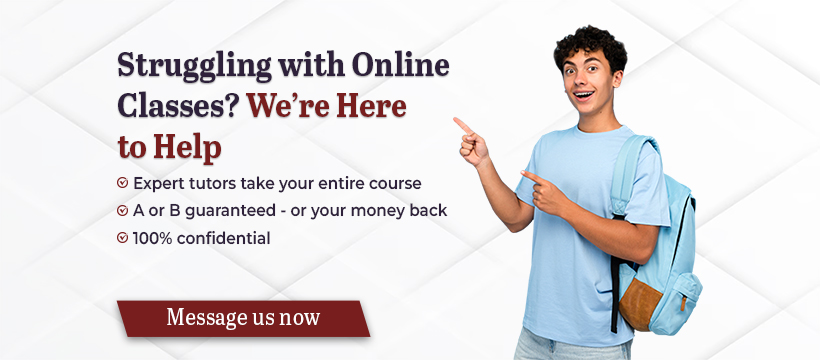 Why the Best Online Class Professionals Are a Game-Changer for Modern Students