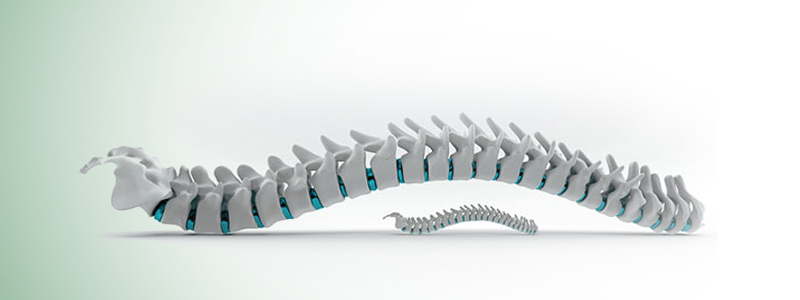 Caring for Children with Spine Issues in Hospitals