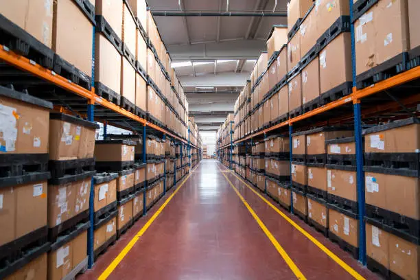 Professional. Reliable. Fast. Meet the Movers and Packers UAE Residents Recommend Most