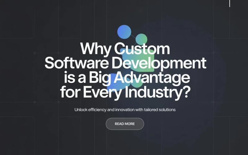 Why Custom Software Development Is a Big Advantage for Every Industry?