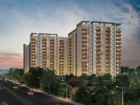 Discover Spacious Homes at Tribeca Trilive