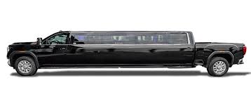 Professional Limo Services