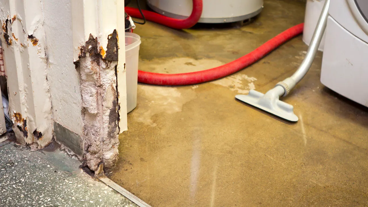 Why Is Fast Water Damage Restoration So Important?