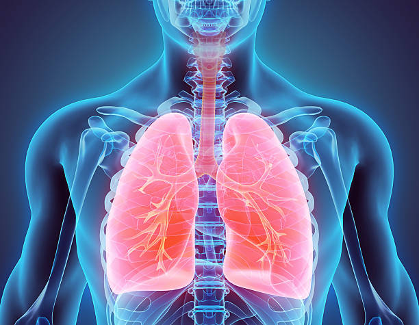 A Deep Dive into Respiratory Health: Causes, Prevention, and Solutions