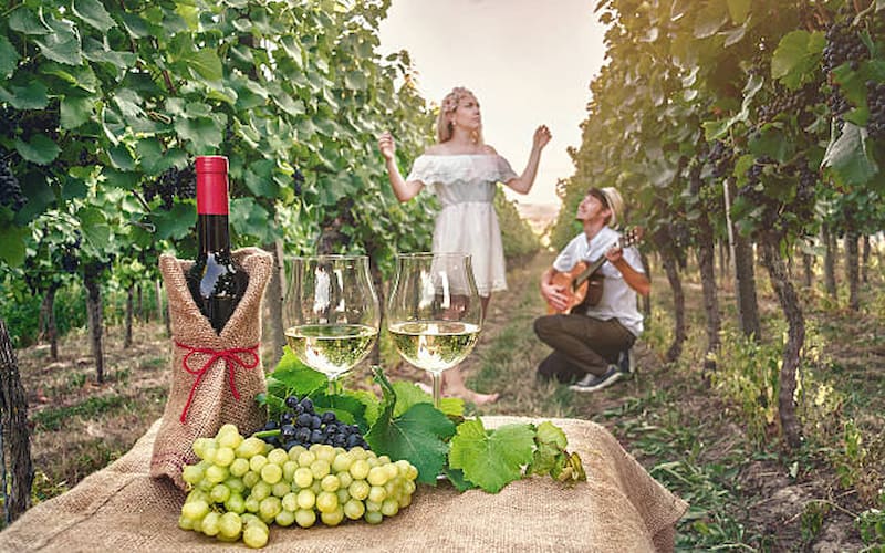 9 best wineries in Italy to visit in 2025