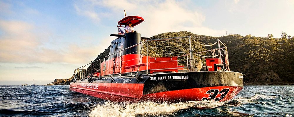 Planning Perfect Shore Adventures: Your Guide to West Coast Cruise Excursions