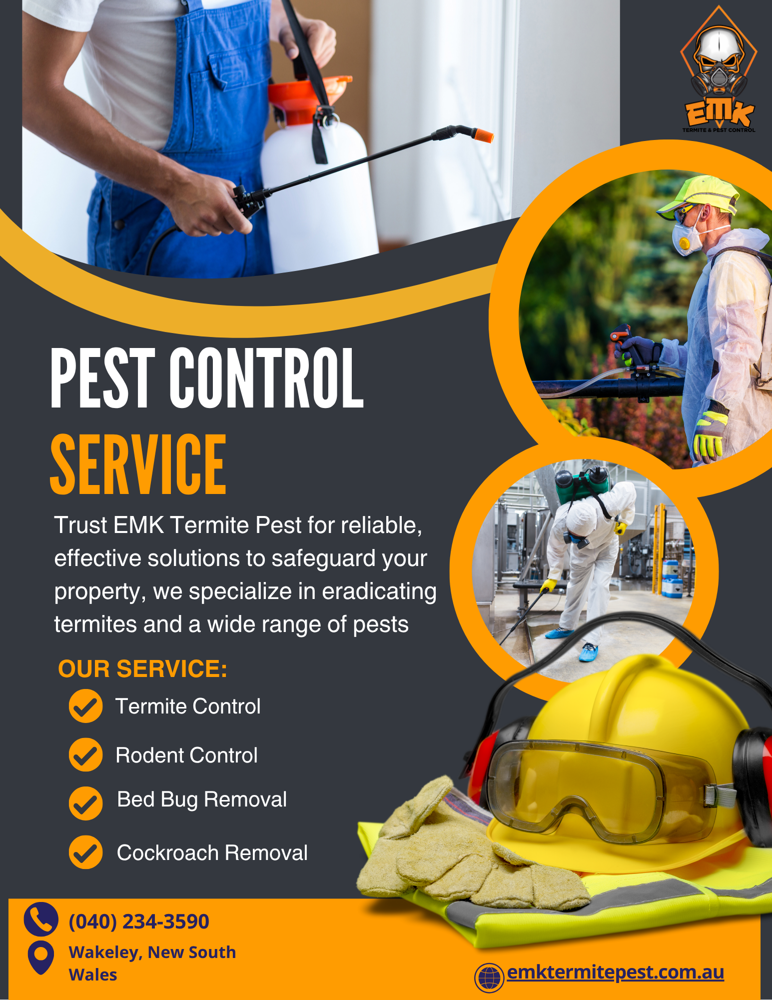 The Cockroach Life Cycle and Its Significance for Pest Management