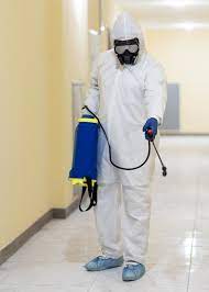 Enormous Details Related To London Pest Control