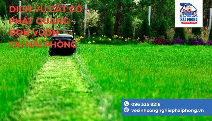 Cắt cỏ gọn gàng, phát quang an toàn với dịch vụ tại HoangHuyClean