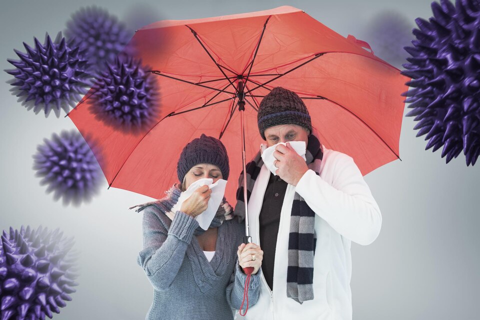 Best Indian Home Remedies for Common Monsoon Illnesses