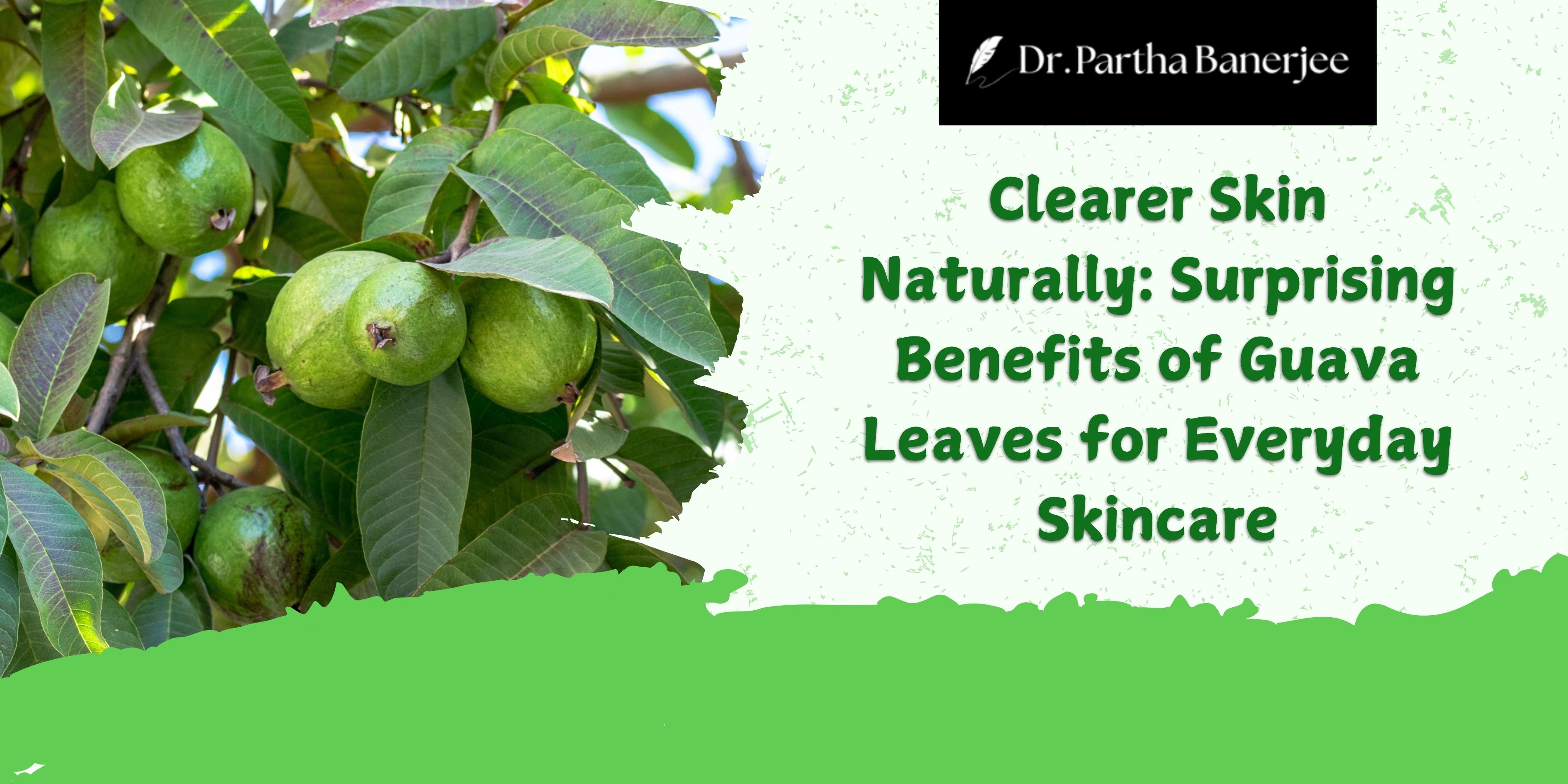 Clearer Skin Naturally: Surprising Benefits of Guava Leaves for Everyday Skincare