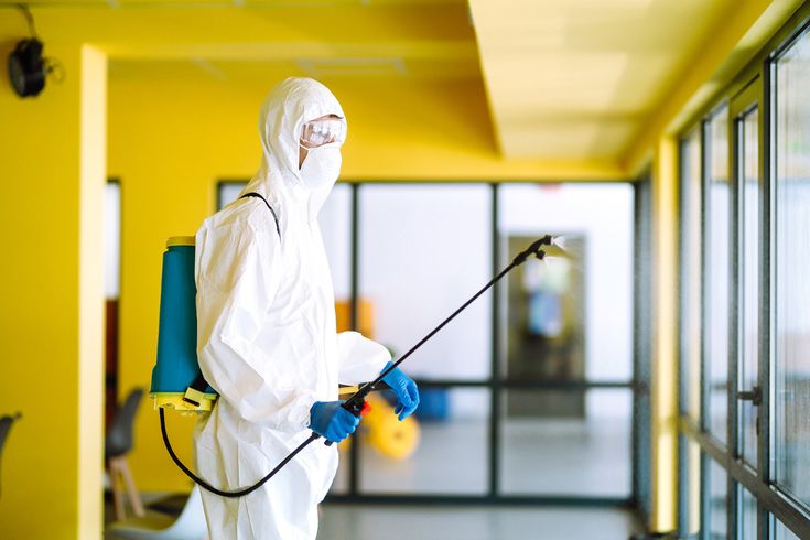 Complete Guide to Pest Control in Ajax