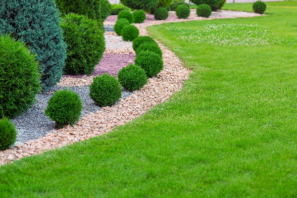 How to Get the Best Landscaping Service in Cicero, NY?