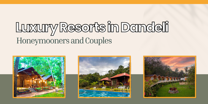 Luxury Resorts in Dandeli for Honeymooners and Couples