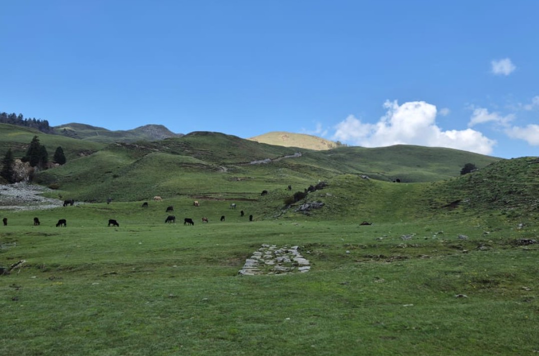 The Ultimate Guide to Dayara Bugyal Weather and Temperature Across All Seasons for Trekkers and Travelers