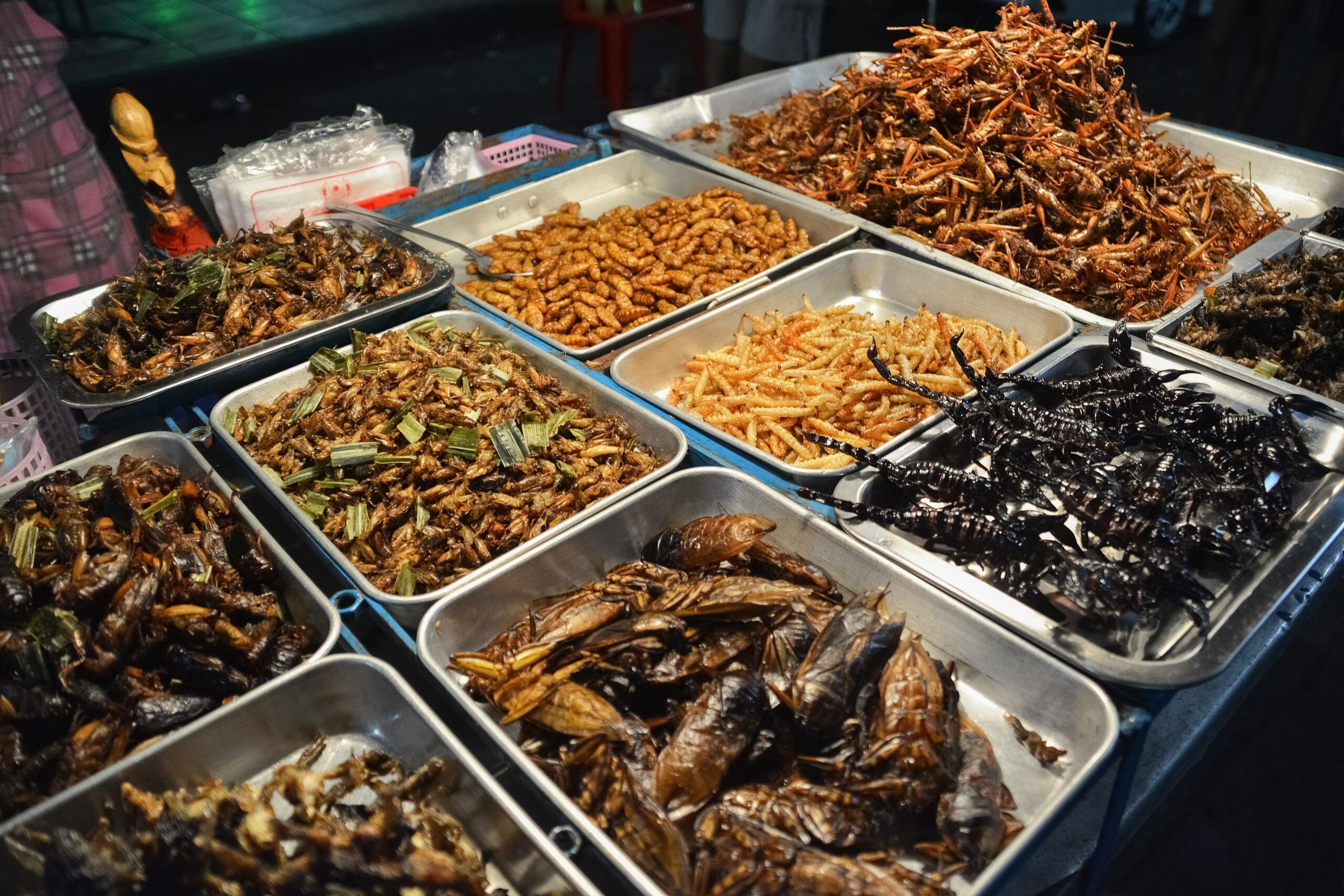 7 Startups Leading Innovation in the Edible Insects Market