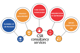 Why Should Your Business Invest in Social Impact Consulting?