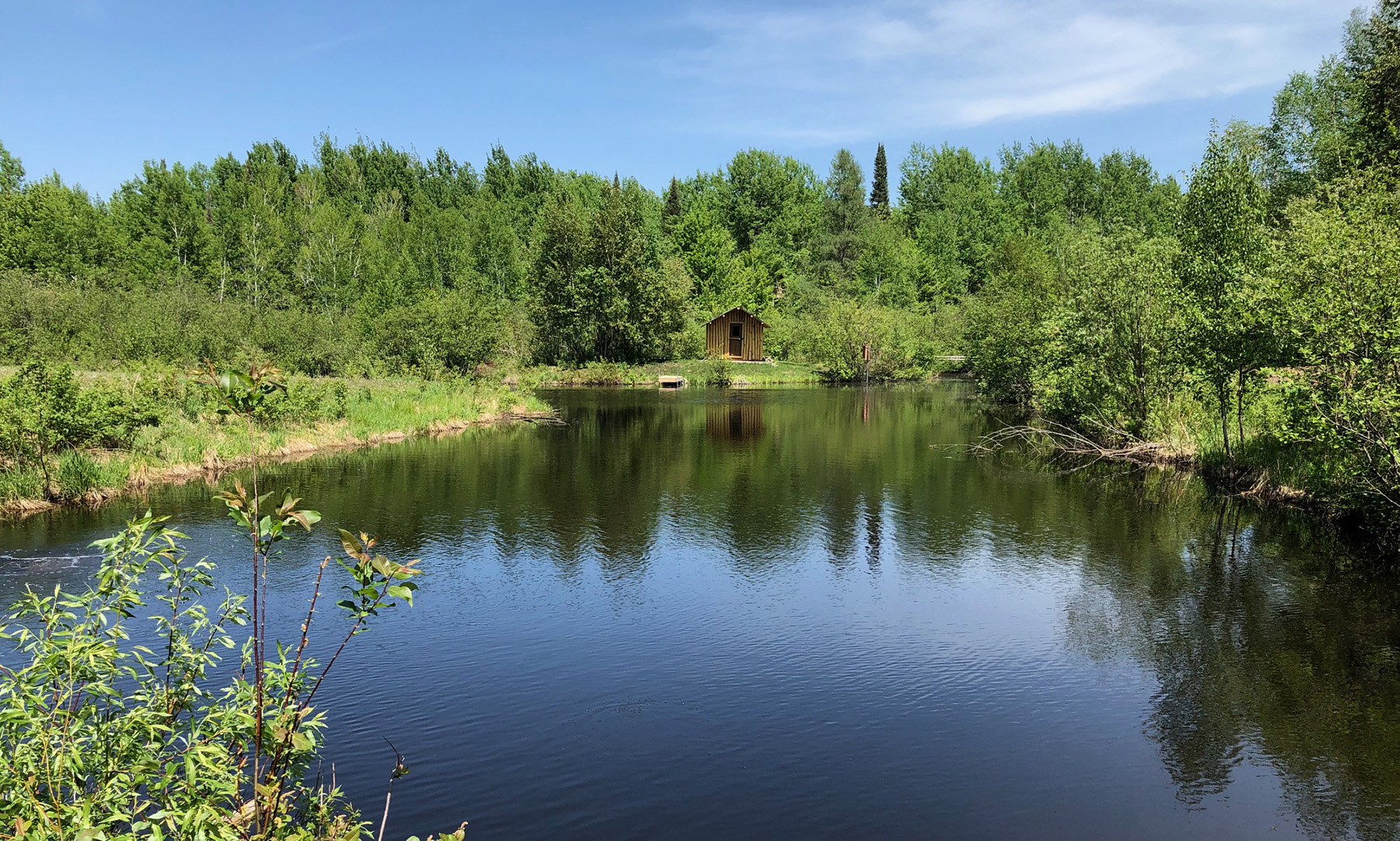 What Tools Are Needed for Pond Maintenance in Delaware?