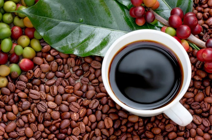 Organic Coffee Manufacturing Plant Feasibility Report: Cost and Revenue