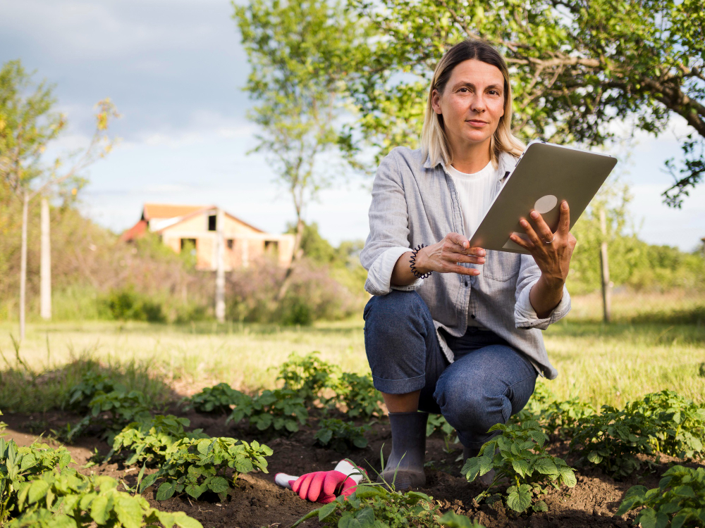 Grow a Garden Calculator: Your Smart Companion for Gardening Success