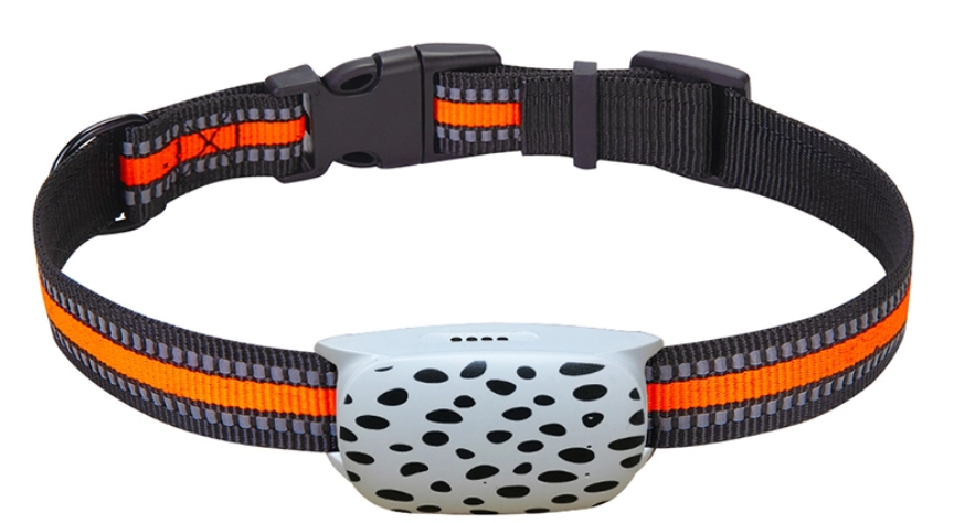 GPS Collar Solutions from Purespet: Custom Safety for Your Pet