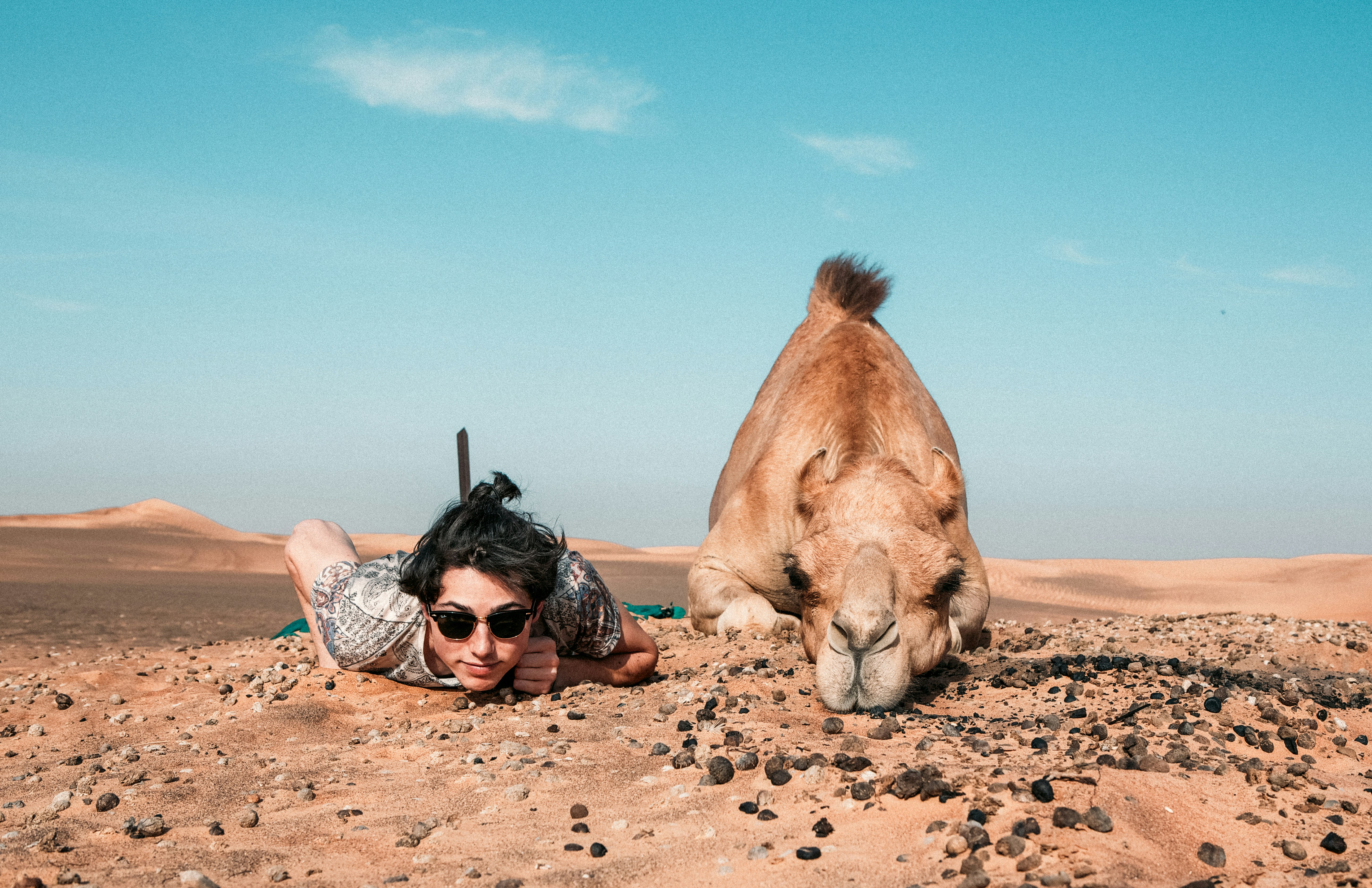 Half Day Dubai Tour: Is It Pet-Friendly?โฏ